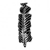 51.109 Decorative Garden Fence Cast Steel Flowers And Leaves