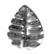 50.058 Decorative Wrought Iron Stamping Flowers&Leaves