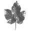 50.065 Decorative Wrought Iron Stamping Flowers&Leaves