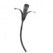 50.176 Decorative Wrought Iron Stamping Flowers&Leaves