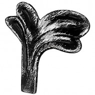51.006 Decorative Wrought Iron Stamping Flowers&Leaves