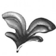 51.075 Decorative Wrought Iron Stamping Flowers&Leaves