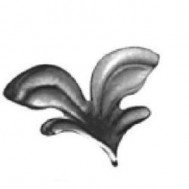 51.076 Decorative Wrought Iron Stamping Flowers&Leaves