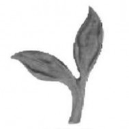 52.208 Decorative Garden Fence Cast Steel Flowers And Leaves