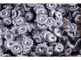 SIMEN METAL Stamping Leaves Production